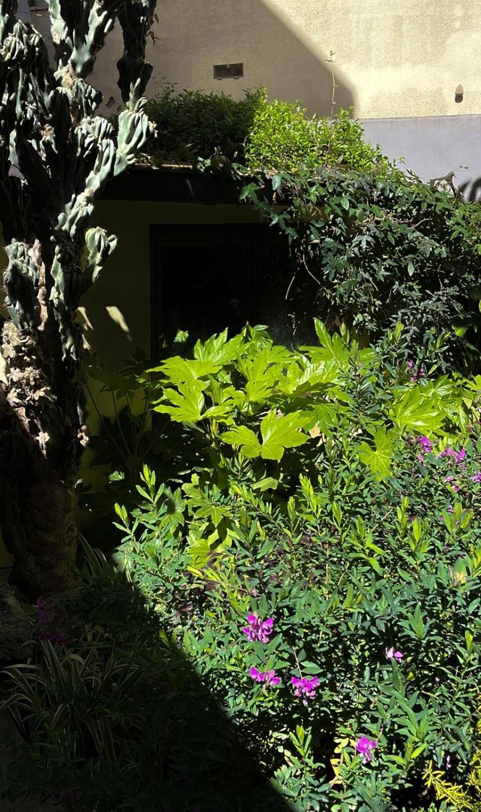 Loquat House Nel Giardino Segreto In Zona Vaticano Rome Exterior photo